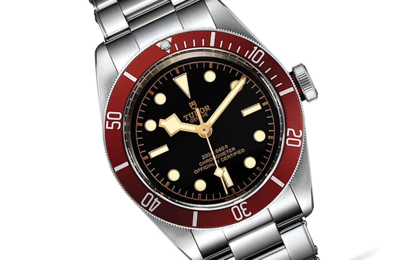 Tudor Black Bay M79230R-0012 WatchProject 21 Shop